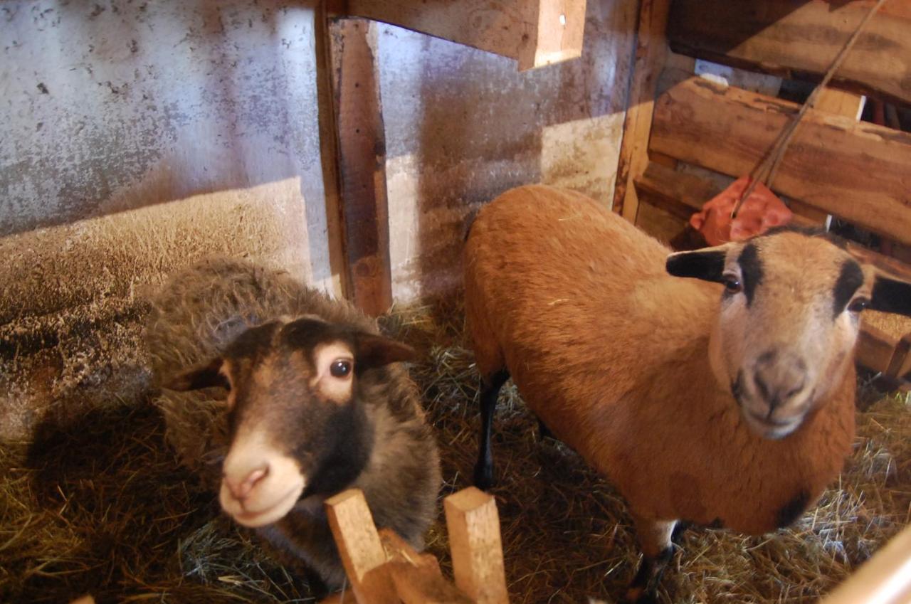 Biebrzanska Zagroda Stare Dolistowo エクステリア 写真