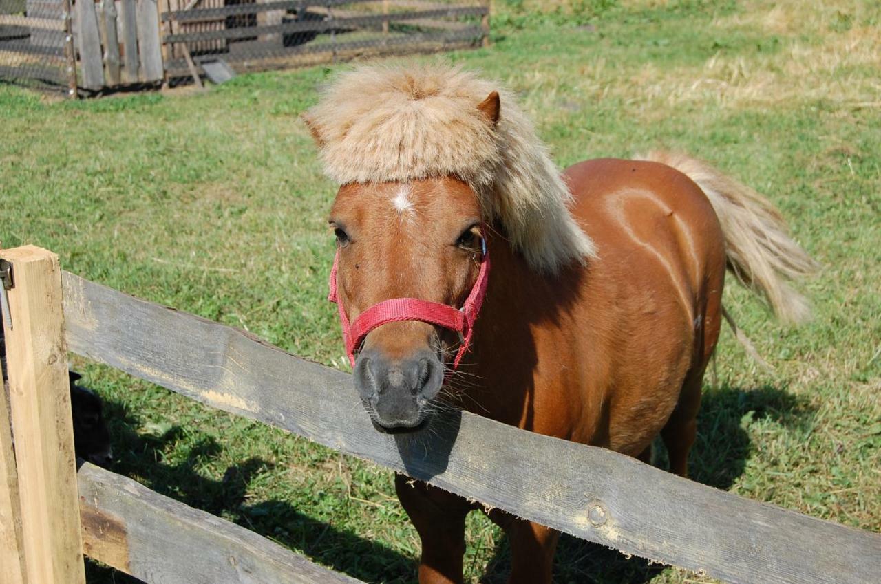 Biebrzanska Zagroda Stare Dolistowo エクステリア 写真