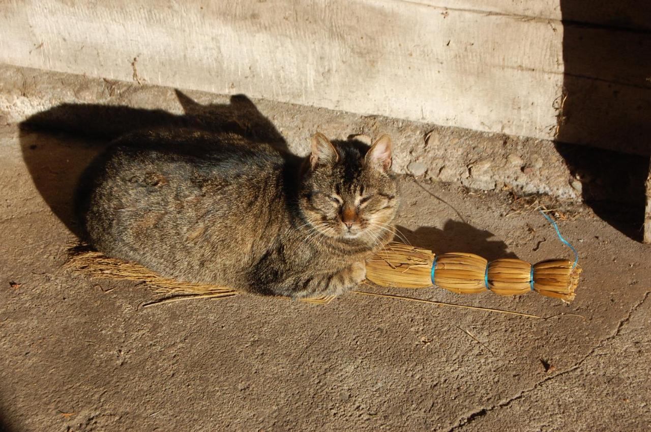 Biebrzanska Zagroda Stare Dolistowo エクステリア 写真